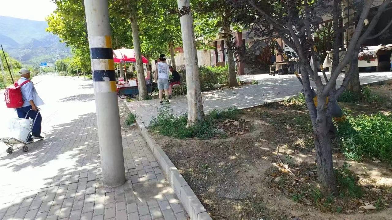 469406699048804787.jpg
