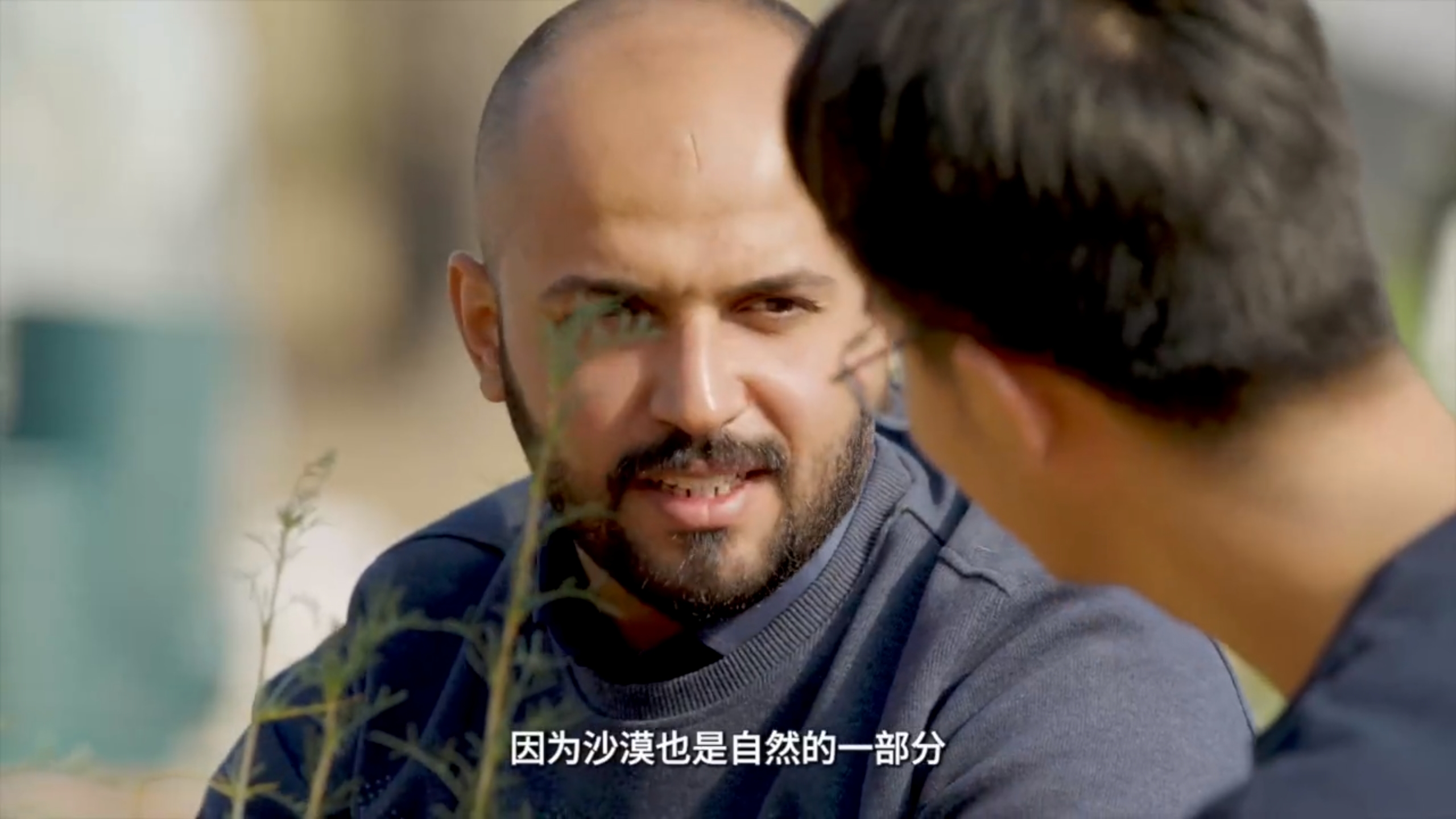 微信截图_20240903155610.png