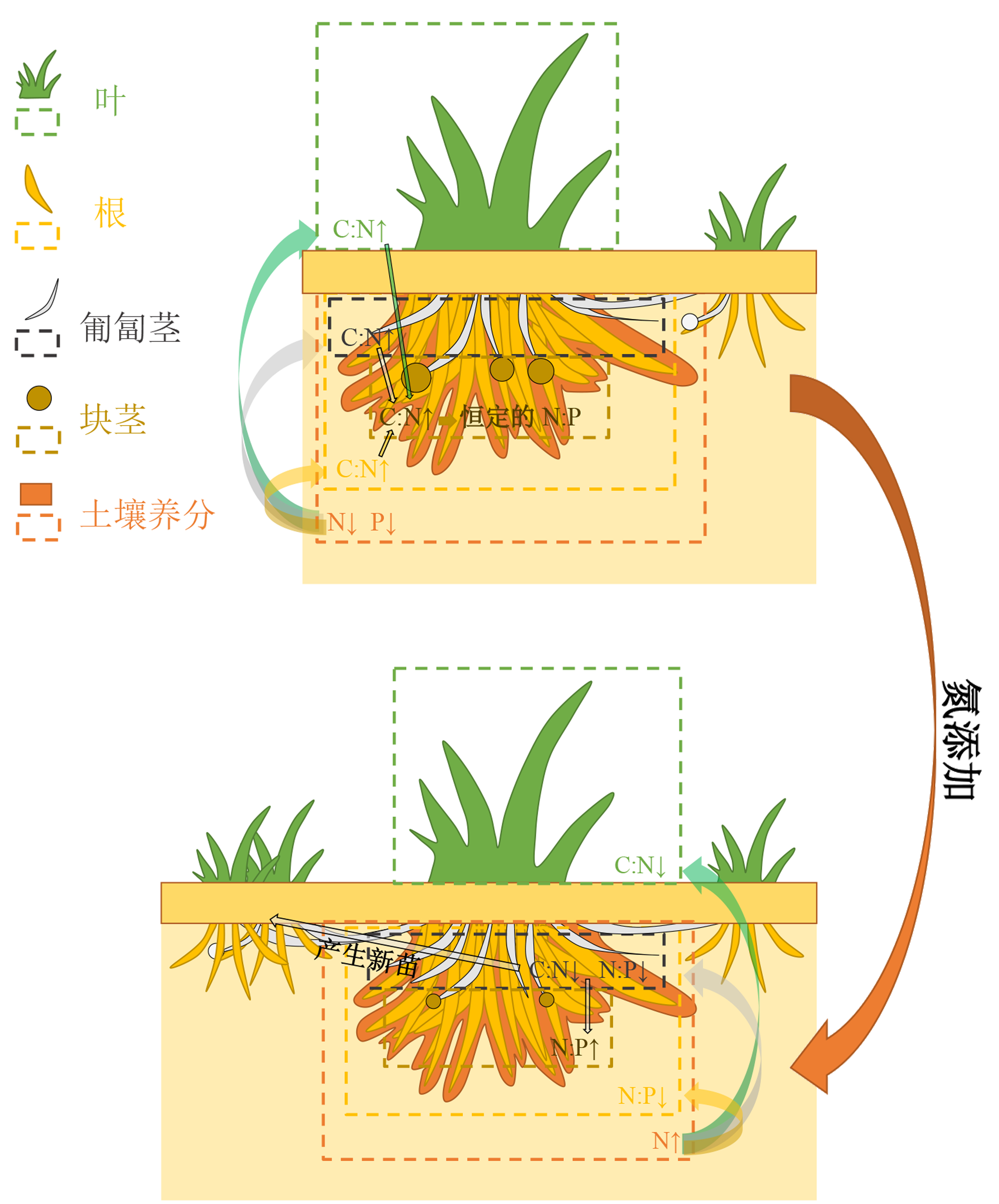 论文图片2.jpg
