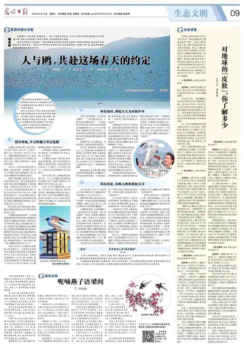 报纸上的一篇文章 AI 生成的内容可能不正确。